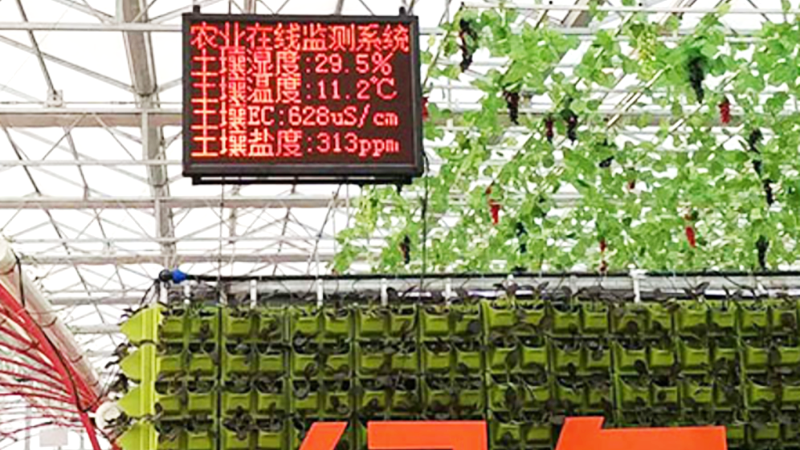 现代农业示范基地环境采集项目