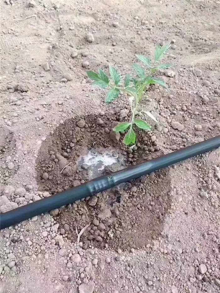 圆柱式滴灌管